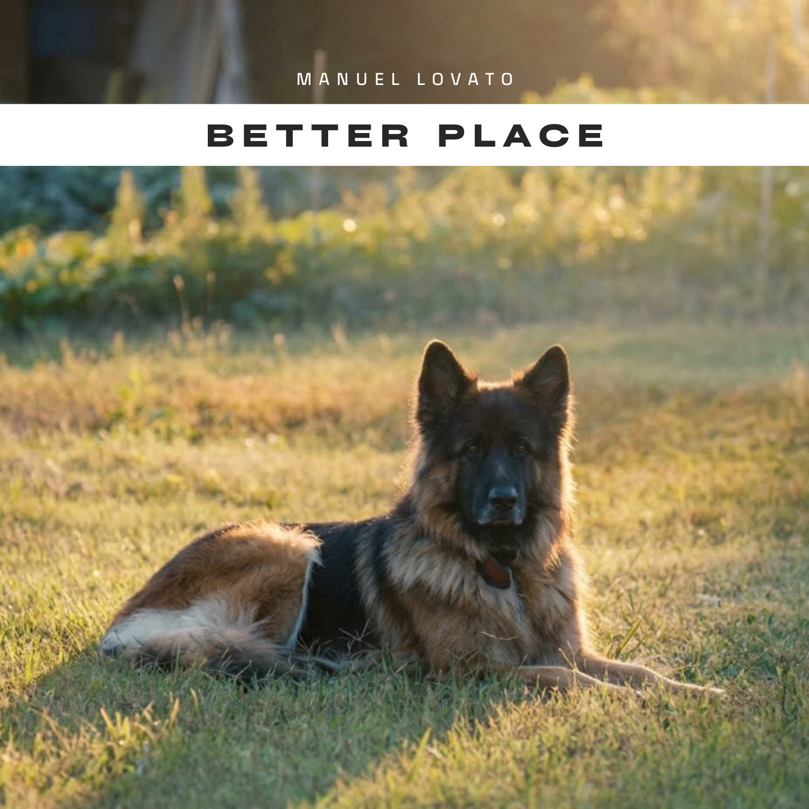 Better Place Cover